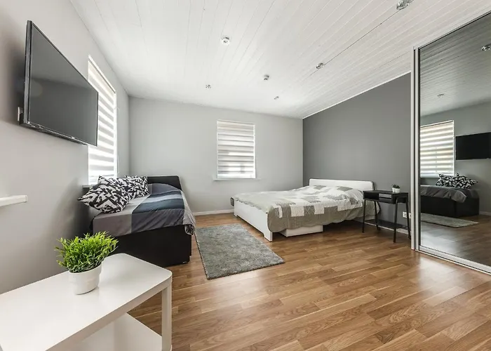 Strautu Lux Apartment