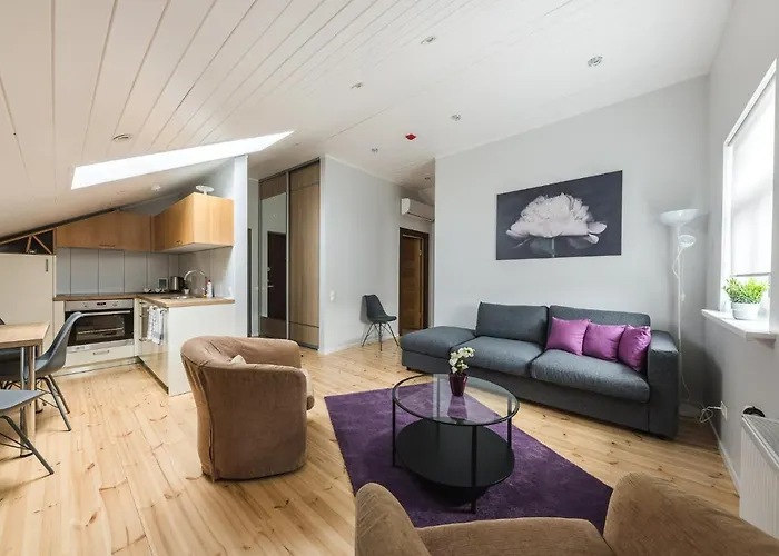 Strautu Lux Apartment